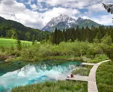 世俱杯冠军-斯洛文尼亚成功逆袭，晋级机会大大增加