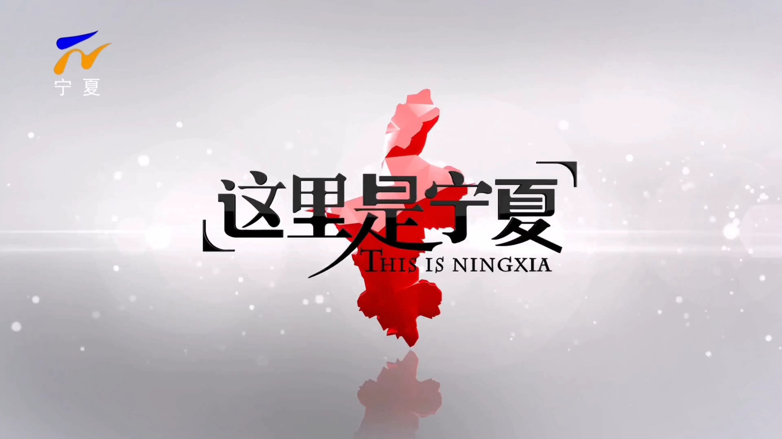 宁夏凤凰展现强大实力，向前迈进的简单介绍