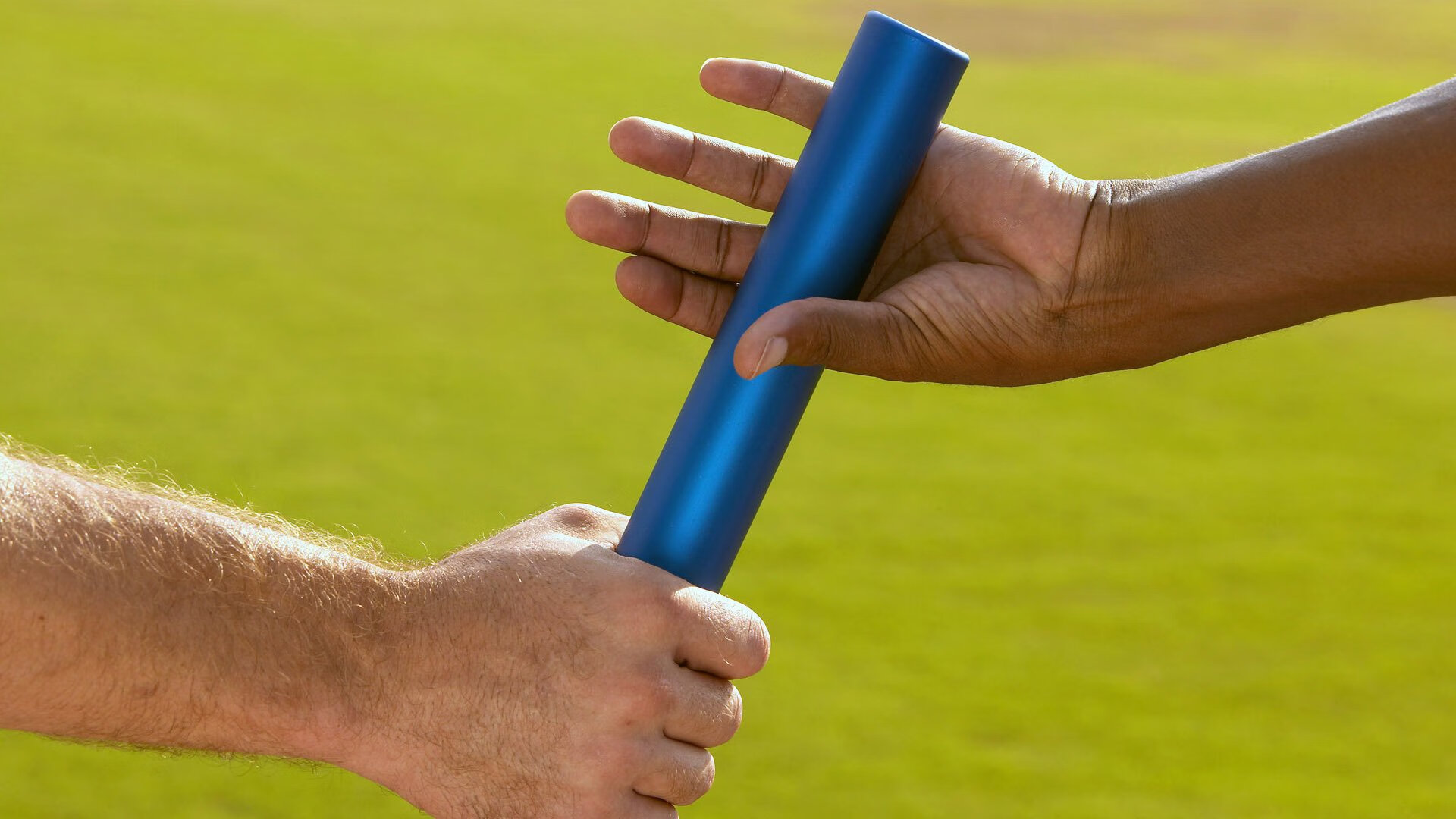 当三狮军团的轻取，遇上藏獒的高光，一场跨越时空的胜利协奏曲